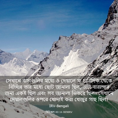 Picture 03 - যিহিষ্কেল 40:16 BENIRV - সেখানে বাসাগুলির - Bible Verse Picture