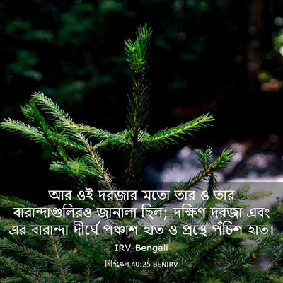 Picture 03 - যিহিষ্কেল 40:25 BENIRV - আর ওই দরজার মতো তার - Bible Verse Picture
