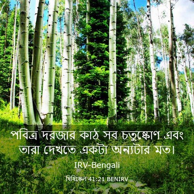 Picture 03 - যিহিষ্কেল 41:21 BENIRV - পবিত্র দরজার কাঠ - Bible Verse Picture