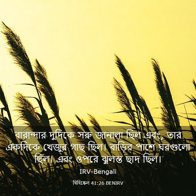 Picture 03 - যিহিষ্কেল 41:26 BENIRV - বারান্দার দুদিকে - Bible Verse Picture