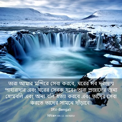 Picture 03 - যিহিষ্কেল 44:11 BENIRV - তারা আমার মন্দিরে - Bible Verse Picture