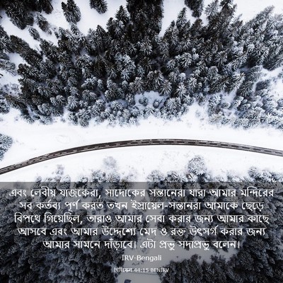 Picture 03 - যিহিষ্কেল 44:15 BENIRV - এবং লেবীয় - Bible Verse Picture