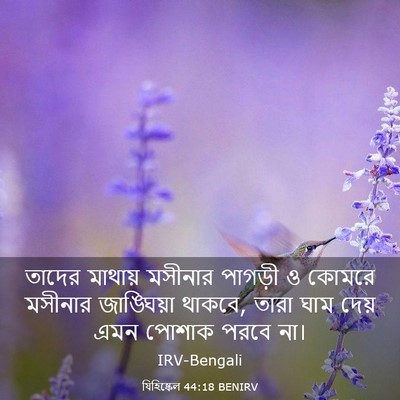Picture 03 - যিহিষ্কেল 44:18 BENIRV - তাদের মাথায় - Bible Verse Picture