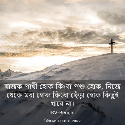 Picture 03 - যিহিষ্কেল 44:31 BENIRV - যাজক পাখী হোক - Bible Verse Picture