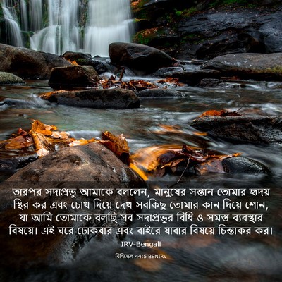 Picture 03 - যিহিষ্কেল 44:5 BENIRV - তারপর সদাপ্রভু - Bible Verse Picture