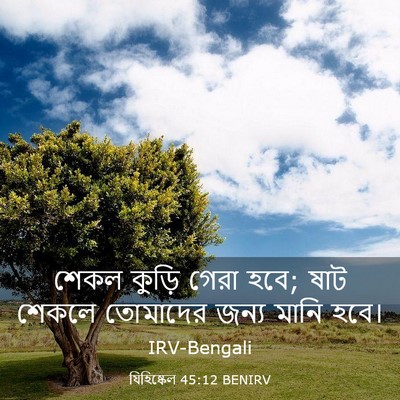 Picture 03 - যিহিষ্কেল 45:12 BENIRV - শেকল কুড়ি গেরা - Bible Verse Picture