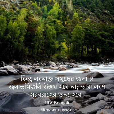 Picture 03 - যিহিষ্কেল 47:11 BENIRV - কিন্তু লবনাক্ত - Bible Verse Picture