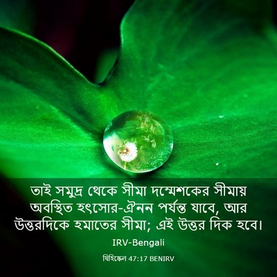Picture 03 - যিহিষ্কেল 47:17 BENIRV - তাই সমুদ্র থেকে - Bible Verse Picture