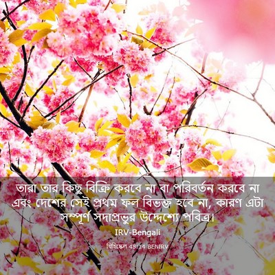 Picture 03 - যিহিষ্কেল 48:14 BENIRV - তারা তার কিছু - Bible Verse Picture