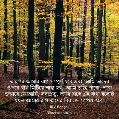 Picture 03 - যিহিষ্কেল 5:13 BENIRV - তারপর আমার রাগ - Bible Verse Picture