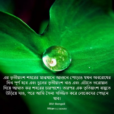 Picture 03 - যিহিষ্কেল 5:2 BENIRV - এর তৃতীয়াংশ - Bible Verse Picture