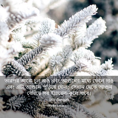 Picture 03 - যিহিষ্কেল 5:4 BENIRV - তারপর আরো চুল নাও - Bible Verse Picture