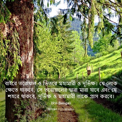 Picture 03 - যিহিষ্কেল 7:15 BENIRV - বাইরে তরোয়াল ও - Bible Verse Picture