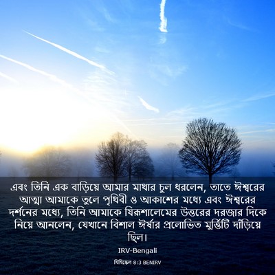 Picture 03 - যিহিষ্কেল 8:3 BENIRV - এবং তিনি এক - Bible Verse Picture