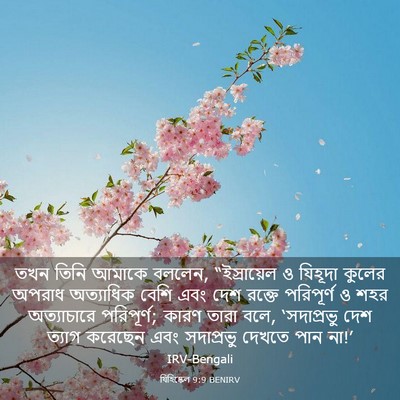 Picture 03 - যিহিষ্কেল 9:9 BENIRV - তখন তিনি আমাকে - Bible Verse Picture