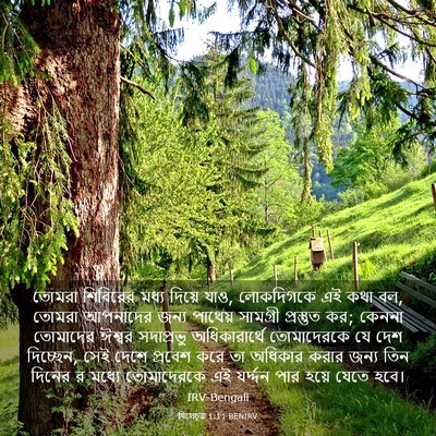 Picture 03 - যিহোচূৱা 1:11 BENIRV - তোমরা শিবিরের - Bible Verse Picture