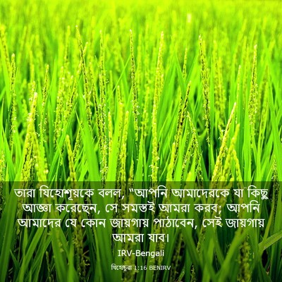 Picture 03 - যিহোচূৱা 1:16 BENIRV - তারা যিহোশূয়কে - Bible Verse Picture