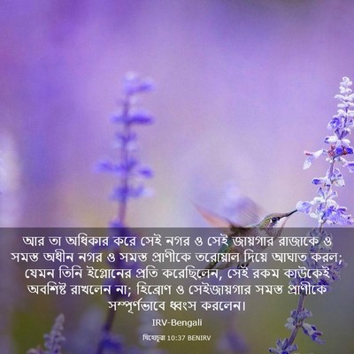 Picture 03 - যিহোচূৱা 10:37 BENIRV - আর তা অধিকার করে - Bible Verse Picture