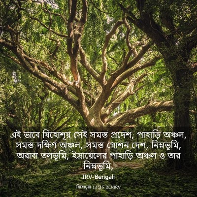 Picture 03 - যিহোচূৱা 11:16 BENIRV - এই ভাবে যিহোশূয় - Bible Verse Picture
