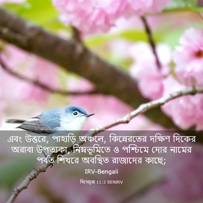 Picture 03 - যিহোচূৱা 11:2 BENIRV - এবং উত্তরে, - Bible Verse Picture