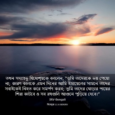 Picture 03 - যিহোচূৱা 11:6 BENIRV - তখন সদাপ্রভু - Bible Verse Picture