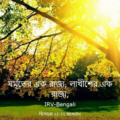 Picture 03 - যিহোচূৱা 12:11 BENIRV - যর্মূতের এক রাজা, - Bible Verse Picture