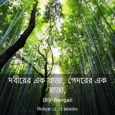 Picture 03 - যিহোচূৱা 12:13 BENIRV - দবীরের এক রাজা, - Bible Verse Picture