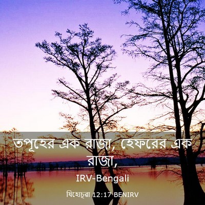 Picture 03 - যিহোচূৱা 12:17 BENIRV - তপূহের এক রাজা, - Bible Verse Picture
