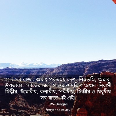 Picture 03 - যিহোচূৱা 12:8 BENIRV - সেই সব রাজা, অর্থাৎ - Bible Verse Picture