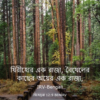 Picture 03 - যিহোচূৱা 12:9 BENIRV - যিরীহোর এক রাজা, - Bible Verse Picture