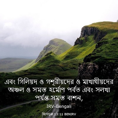 Picture 03 - যিহোচূৱা 13:11 BENIRV - এবং গিলিয়দ ও - Bible Verse Picture