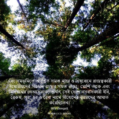 Picture 03 - যিহোচূৱা 13:21 BENIRV - এবং সমভূমিতে - Bible Verse Picture