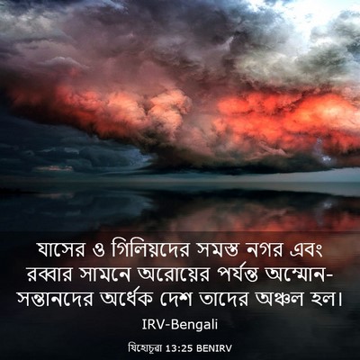 Picture 03 - যিহোচূৱা 13:25 BENIRV - যাসের ও গিলিয়দের - Bible Verse Picture
