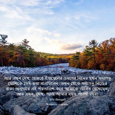 Picture 03 - যিহোচূৱা 14:10 BENIRV - আর এখন দেখ, - Bible Verse Picture