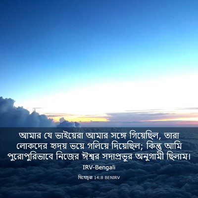 Picture 03 - যিহোচূৱা 14:8 BENIRV - আমার যে ভাইয়েরা - Bible Verse Picture