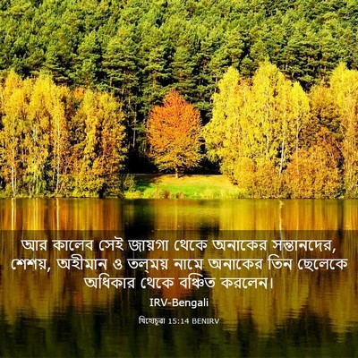 Picture 03 - যিহোচূৱা 15:14 BENIRV - আর কালেব সেই - Bible Verse Picture