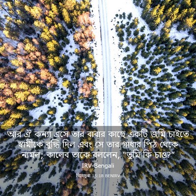 Picture 03 - যিহোচূৱা 15:18 BENIRV - আর ঐ কন্যা এসে তার - Bible Verse Picture