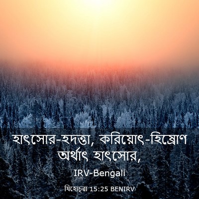 Picture 03 - যিহোচূৱা 15:25 BENIRV - হাৎসোর-হদত্তা, - Bible Verse Picture