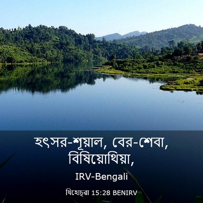 Picture 03 - যিহোচূৱা 15:28 BENIRV - হৎসর-শূয়াল, - Bible Verse Picture
