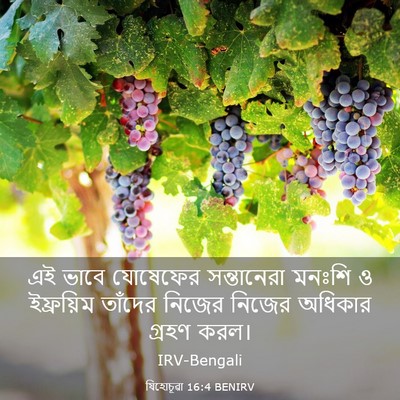 Picture 03 - যিহোচূৱা 16:4 BENIRV - এই ভাবে যোষেফের - Bible Verse Picture