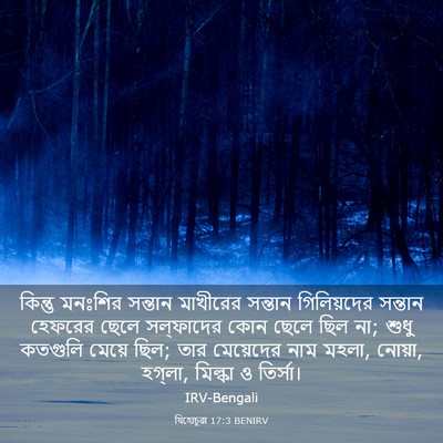 Picture 03 - যিহোচূৱা 17:3 BENIRV - কিন্তু মনঃশির - Bible Verse Picture