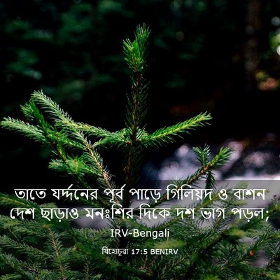 Picture 03 - যিহোচূৱা 17:5 BENIRV - তাতে যর্দ্দনের - Bible Verse Picture