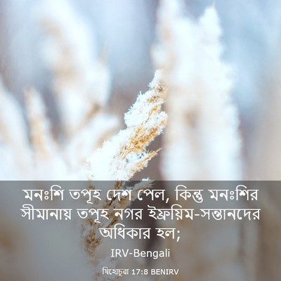 Picture 03 - যিহোচূৱা 17:8 BENIRV - মনঃশি তপূহ দেশ পেল, - Bible Verse Picture