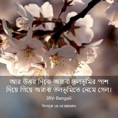 Picture 03 - যিহোচূৱা 18:18 BENIRV - আর উত্তর দিকে - Bible Verse Picture