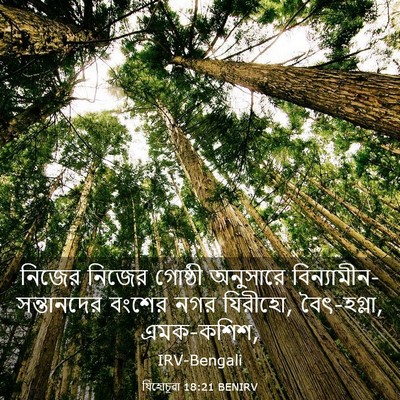 Picture 03 - যিহোচূৱা 18:21 BENIRV - নিজের নিজের - Bible Verse Picture