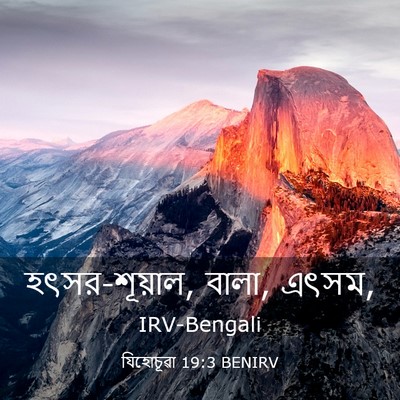 Picture 03 - যিহোচূৱা 19:3 BENIRV - হৎসর-শূয়াল, বালা, - Bible Verse Picture