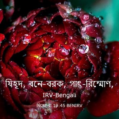 Picture 03 - যিহোচূৱা 19:45 BENIRV - যিহূদ, বনে-বরক, - Bible Verse Picture