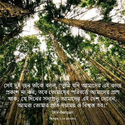 Picture 03 - যিহোচূৱা 2:14 BENIRV - সেই দুই জন তাঁকে - Bible Verse Picture