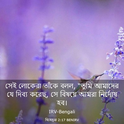Picture 03 - যিহোচূৱা 2:17 BENIRV - সেই লোকেরা তাঁকে - Bible Verse Picture