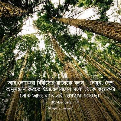 Picture 03 - যিহোচূৱা 2:2 BENIRV - আর লোকেরা যিরীহোর - Bible Verse Picture